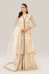 3 Piece Embroidered Net Suit