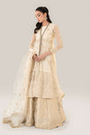 3 Piece Embroidered Net Suit