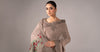 Embroidered Chiffon Saree