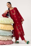2 Piece Embroidered Brochia Suit