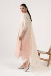 3 Piece Embroidered Dobby Lawn Suit