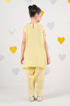 2 Piece Embroidered Organza Suit