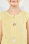 2 Piece Embroidered Organza Suit