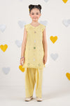 2 Piece Embroidered Organza Suit