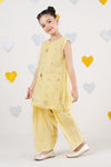 2 Piece Embroidered Organza Suit