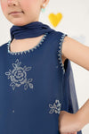 3 Piece Embroidered Organza Suit