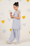 2 Piece Embroidered Organza Suit