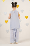 2 Piece Embroidered Organza Suit
