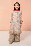 3 Piece Embroidered Suit
