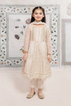 3 Piece Embroidered Suit