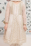3 Piece Embroidered Suit