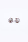 Earrings | AER-S24-3