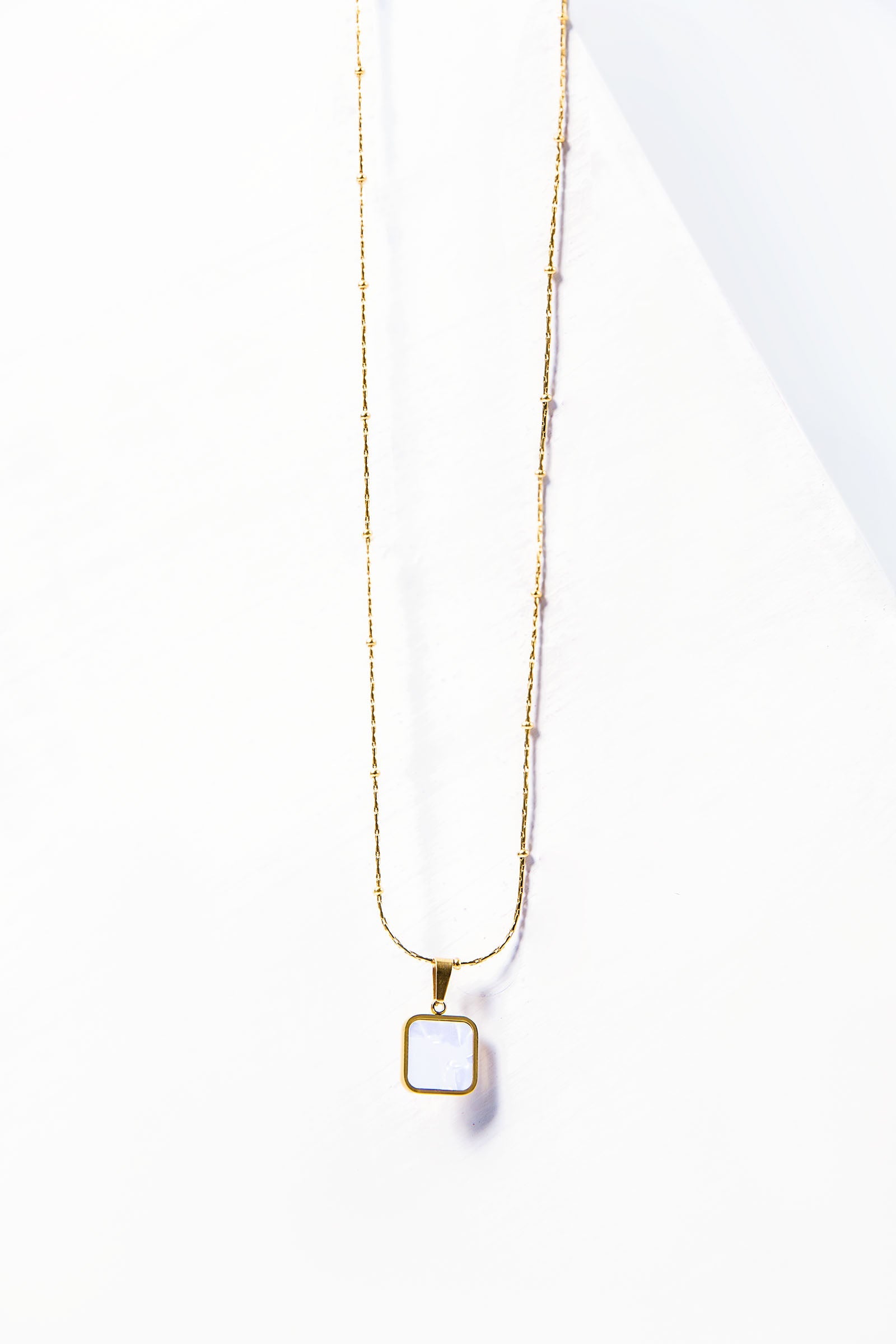 Snake Bone Necklace