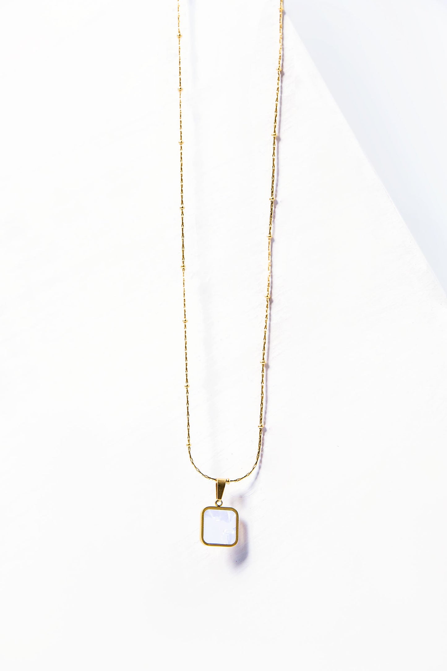 Snake Bone Necklace