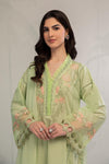 Suit Green DW-EA23-97