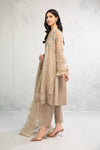 Suit Beige DW-EF23-46