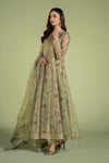 3 Piece Printed Organza Masoori Net Suit