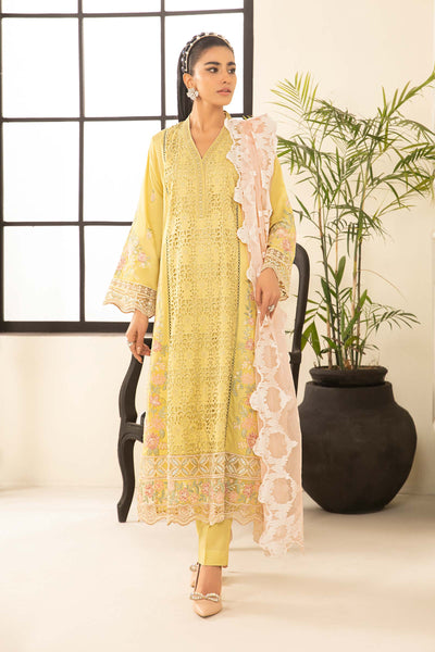 3 PIECE EMBROIDERED LAWN SUIT | DW-EF24-33 All Products DWE2433-ESM-OLG