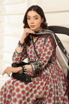 3 Piece Printed Lawn Suit