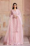 2 Piece Embroidered Organza Suit