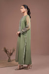 2 Piece Embroidered Organza Suit
