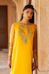 2 Pc Dyed Organza Suit