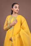 2 Pc Dyed Organza Suit