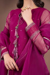 2 Pc Embroidered Organza Suit