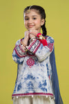 3 Piece Embroidered Lawn Suit