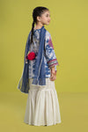 3 Piece Embroidered Lawn Suit
