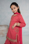 3 Piece Embroidered Lawn Suit