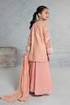 3 Piece Embroidered Stripecotton Suit
