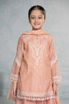3 Piece Embroidered Stripecotton Suit