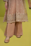 3 Piece Embroidered Organza Suit
