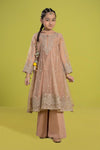 3 Piece Embroidered Organza Suit