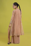 3 Piece Embroidered Organza Suit