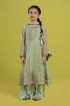 3 Piece Embroidered Organza Suit