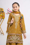 3 Piece Embroidered Raw Silk Suit