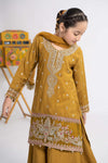 3 Piece Embroidered Raw Silk Suit