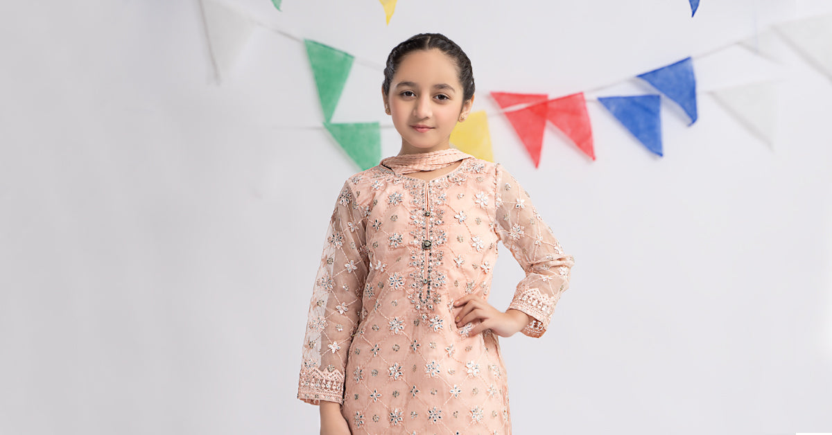 3 PIECE EMBROIDERED ORGANZA SUIT | MKS-EF24-11