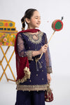3 Piece Embroidered Organza Suit