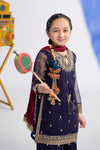 3 Piece Embroidered Organza Suit