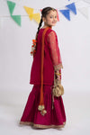 3 Piece Embroidered Organza Suit
