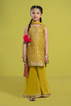 3 Piece Embroidered Organza Suit