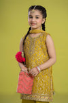 3 Piece Embroidered Organza Suit