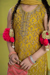 3 Piece Embroidered Organza Suit