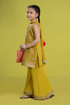 3 Piece Embroidered Organza Suit