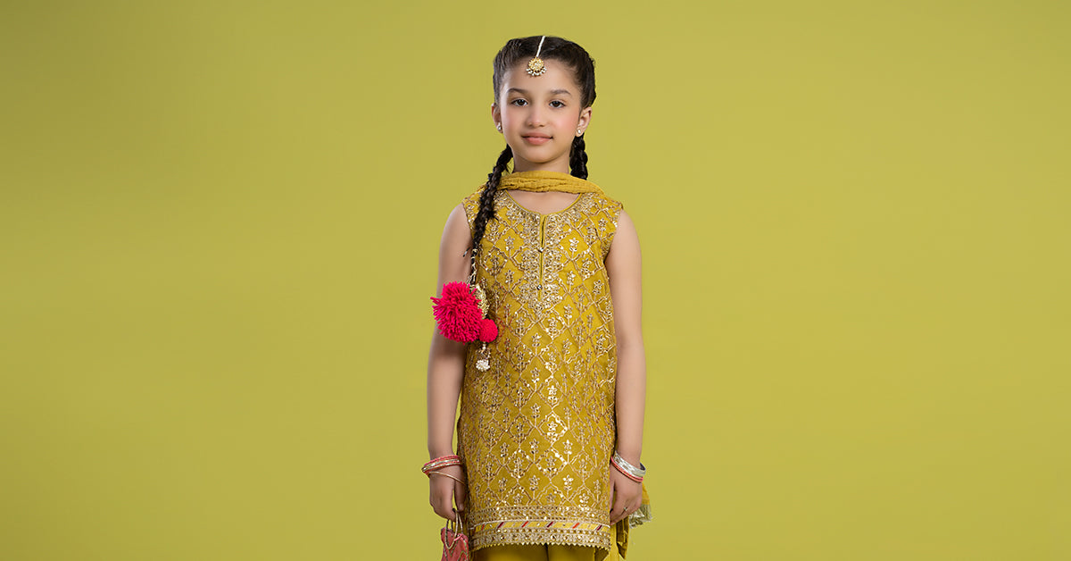 3 Piece Embroidered Organza Suit