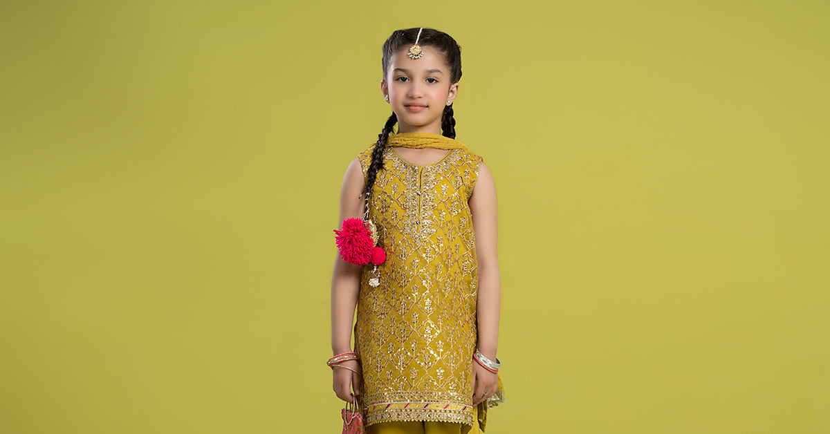 3 PIECE EMBROIDERED ORGANZA SUIT | MKS-EF24-14