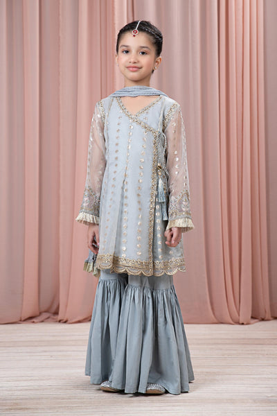 3 PIECE EMBROIDERED ORGANZA SUIT | MKS-EF24-18 All Products MKS2418-024-BLU
